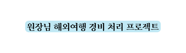 원장님 해외여행 경비 처리 프로젝트